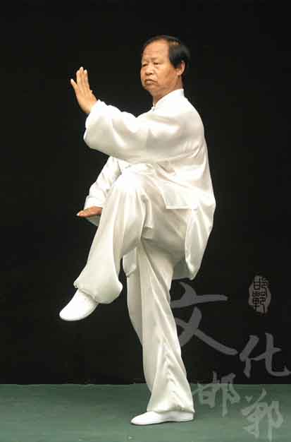 太极拳杨氏太极拳